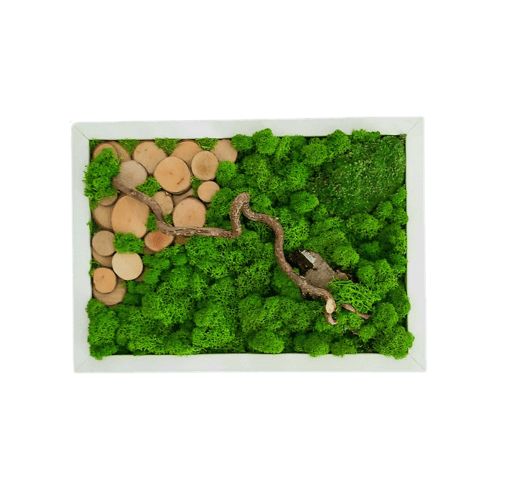 Tablou cu licheni stabilizați 30x25 cm decor natural handmade