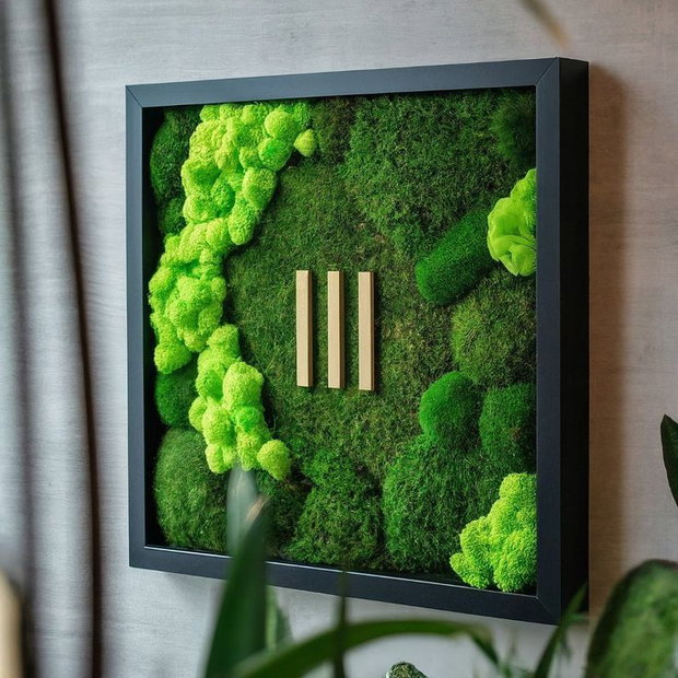 Tablou cu licheni stabilizați 50x50 cm decor natural handmade