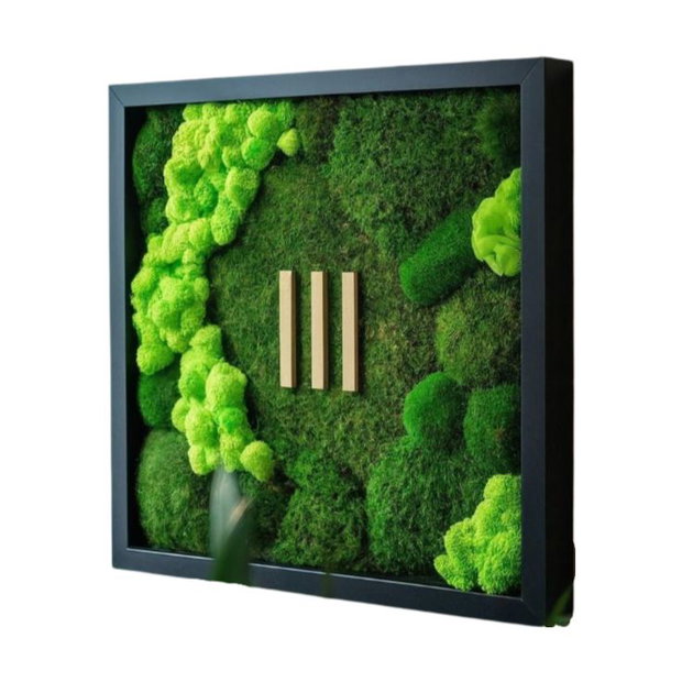 Tablou cu licheni stabilizați 50x50 cm decor natural handmade