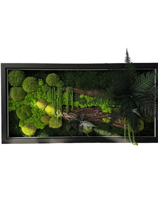 Tablou cu licheni stabilizați 80x40 cm  decor natural handmade