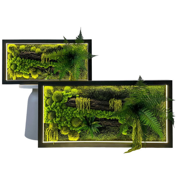 Tablou cu licheni stabilizați 80x40 cm decor natural handmade