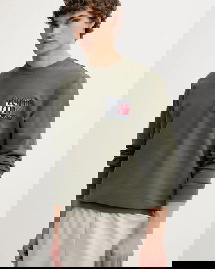 Tommy Jeans hanorac de bumbac culoarea verde, cu imprimeu, DM0DM22093