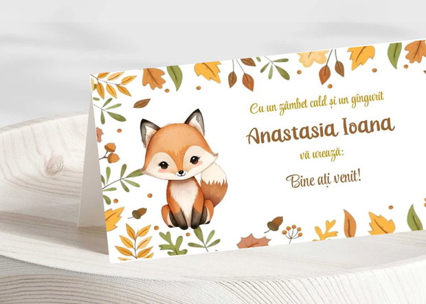 Plicuri bani botez fetițe Vulpiță