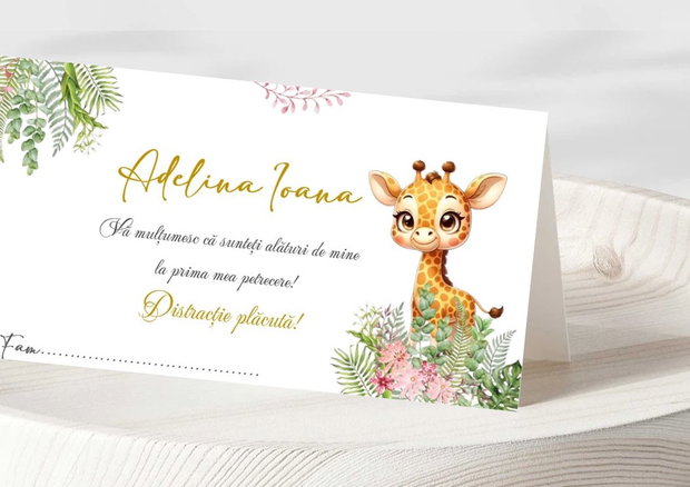 Plicuri bani botez fetițe Girafă