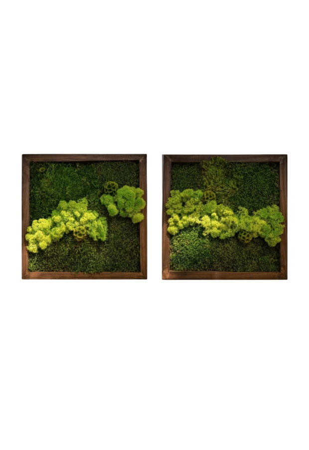 Tablou cu licheni stabilizați 40x40 cm decor natural pentru interior