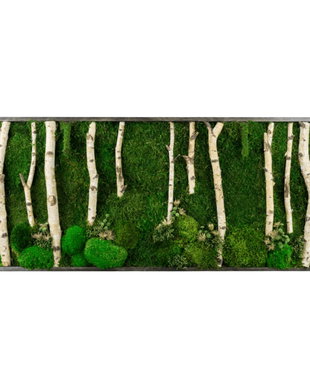 Tablou cu licheni stabilizați 100x50 cm  decor natural pentru perete interior