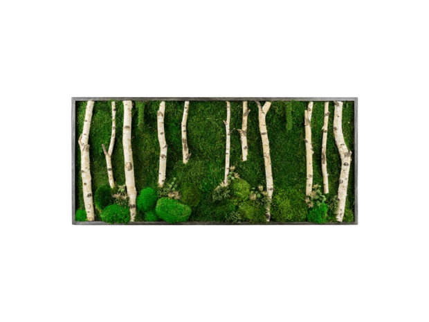 Tablou cu licheni stabilizați 100x50 cm decor natural pentru perete interior