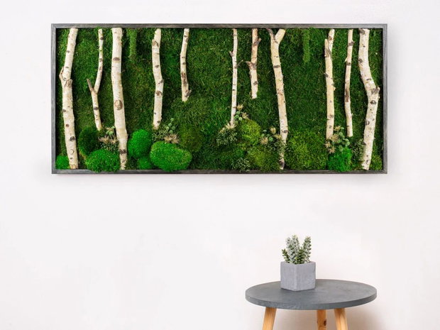 Tablou cu licheni stabilizați 100x50 cm decor natural pentru perete interior