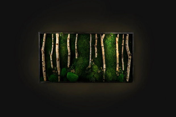 Tablou cu licheni stabilizați 100x50 cm decor natural pentru perete interior
