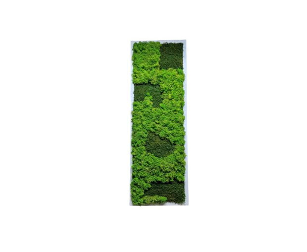 Tablou cu licheni stabilizați 100x30 cm  decor verde pentru interior