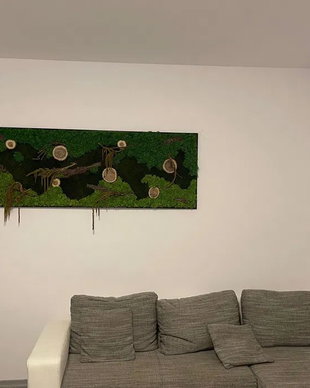 Tablou cu licheni stabilizați 100x50 cm  decor natural pentru perete interior