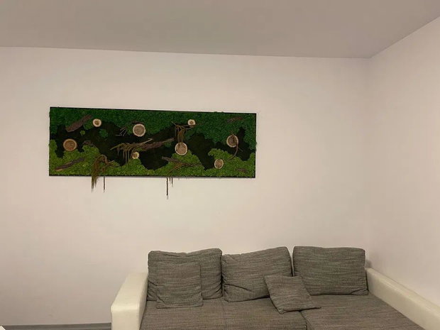 Tablou cu licheni stabilizați 100x50 cm decor natural pentru perete interior