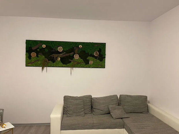 Tablou cu licheni stabilizați 100x50 cm decor natural pentru perete interior