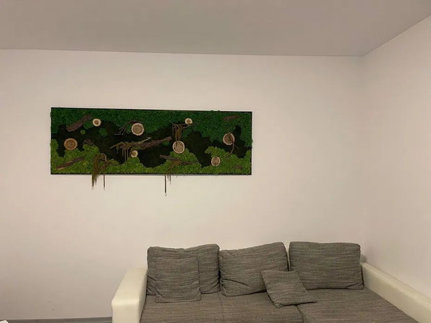 Tablou cu licheni stabilizați 100x50 cm decor natural pentru perete interior