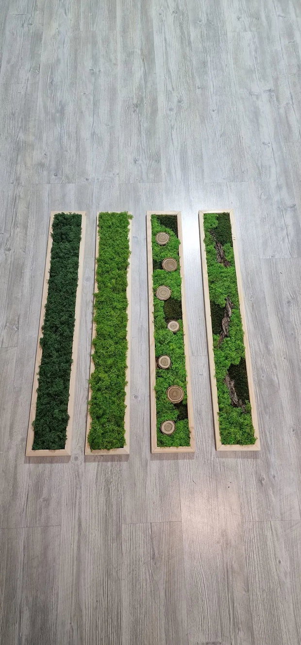 Set 4 tablouri cu licheni stabilizați 100x15 cm  decor natural modular