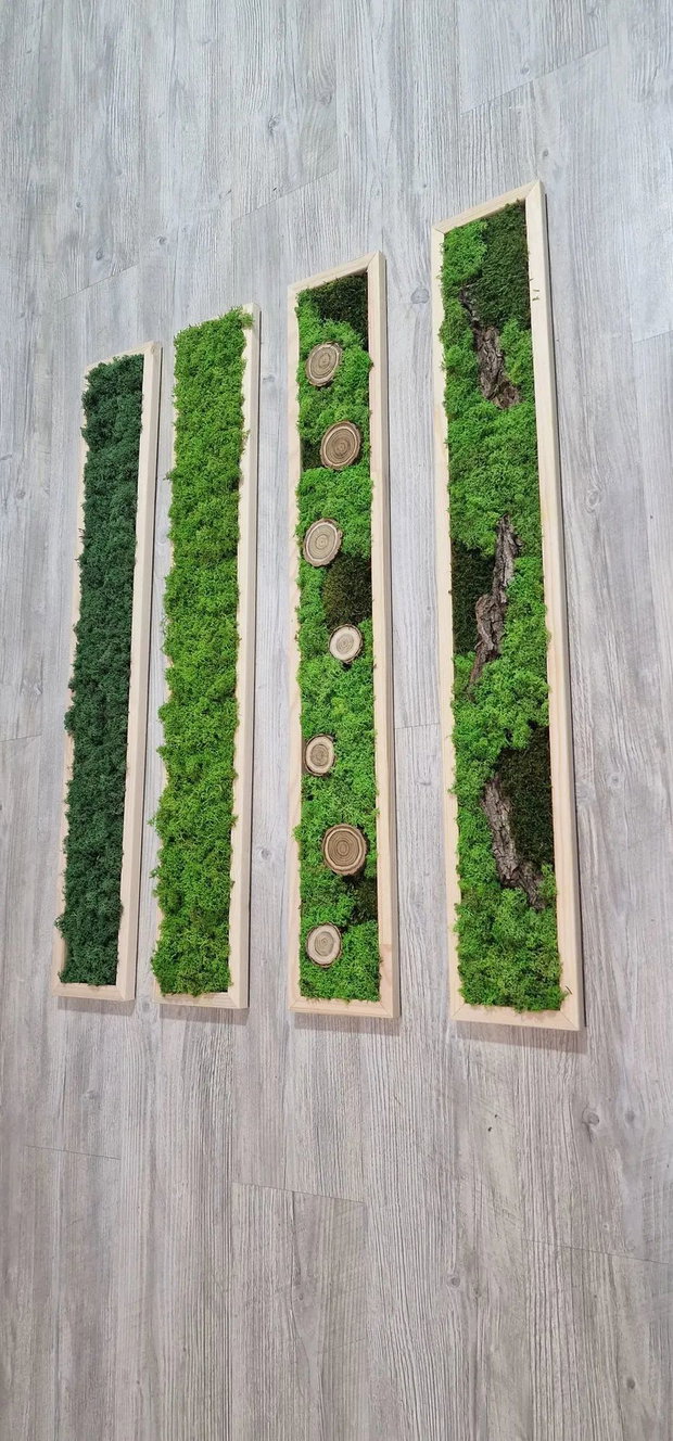 Set 4 tablouri cu licheni stabilizați 100x15 cm  decor natural modular