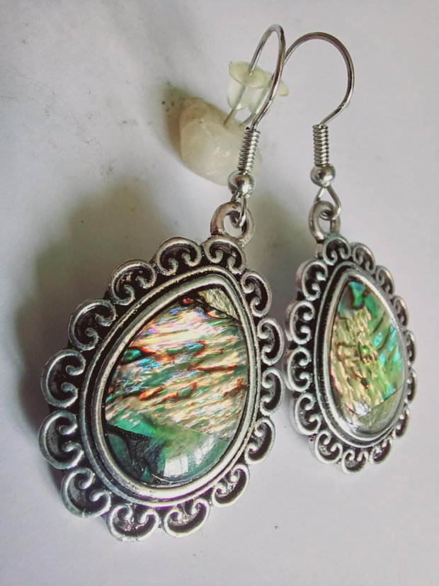 Abalone - Paua Shell