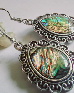 Abalone - Paua Shell