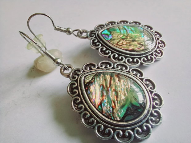 Abalone - Paua Shell