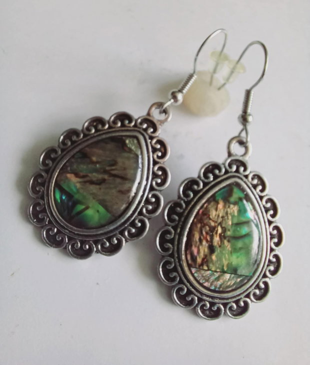 Abalone - Paua Shell