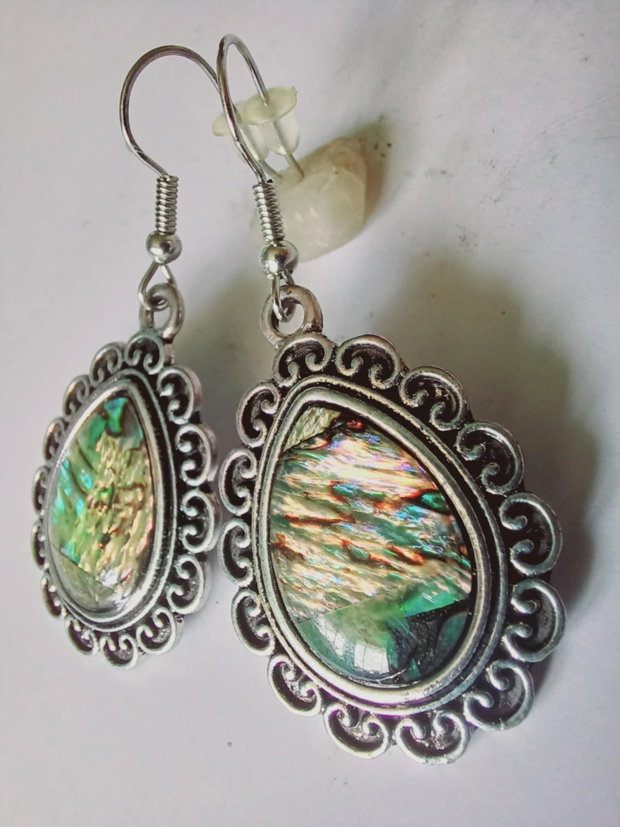 Abalone - Paua Shell