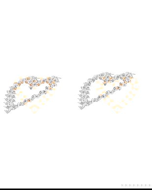 Daniel Wellington cercei DW00401609