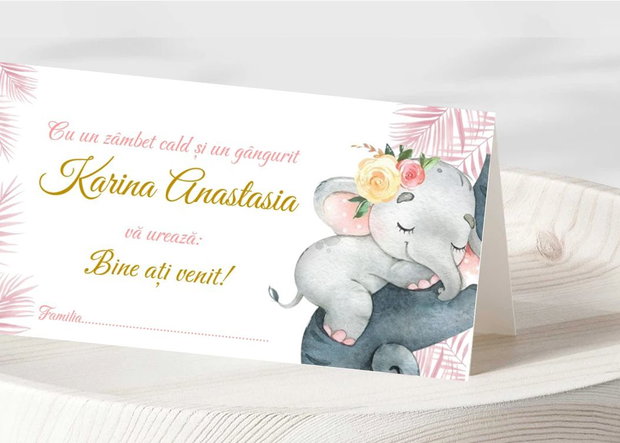 Plicuri bani botez fetițe Elefănțică dormind