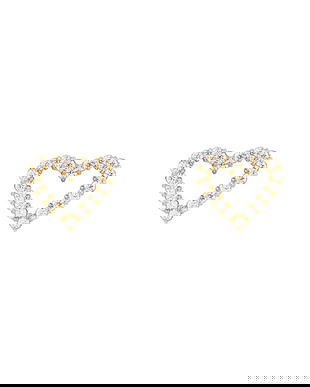 Daniel Wellington cercei DW00401608