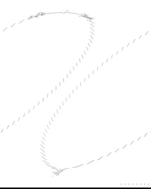 Daniel Wellington colier DW00401637