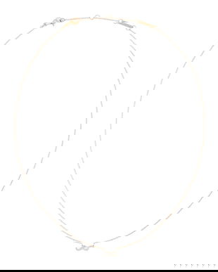 Daniel Wellington colier DW00401639