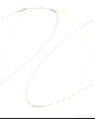 Daniel Wellington colier DW00401633