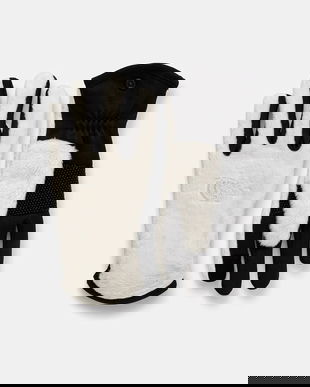 The North Face mănuși Osito Etip Glove culoarea alb, NF0A888QQLI1