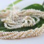 Perle cultura, 2.5-3.5mm, cod P02B (1sir)