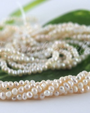 Perle cultura, 2.5-3.5mm, cod P02B (1sir)