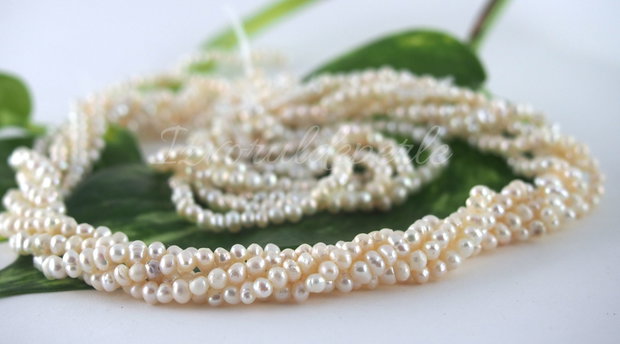 Perle cultura, 2.5-3.5mm, cod P02B (1sir)