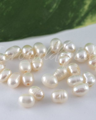Perle cultura 5.5-6.5x4.5-5mm, semigaurite (1)