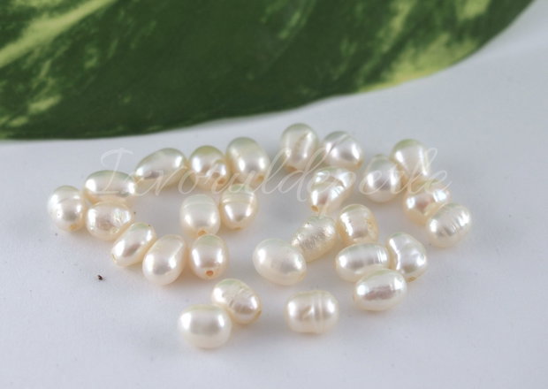 Perle cultura 5.5-6.5x4.5-5mm, semigaurite (1)