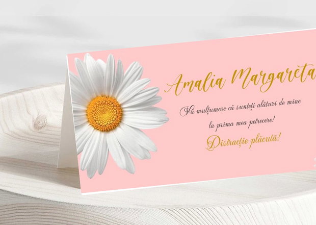 Plicuri bani botez fetițe Margarete