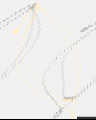 Dkny colier 04N00320