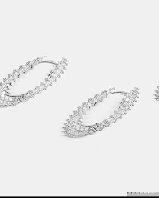 Aldo cercei STRIGIDAE.973