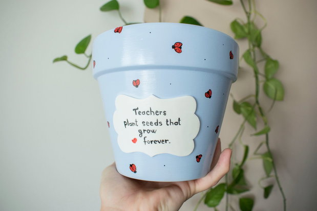 Ghiveci educatoare - Grupa Buburuze