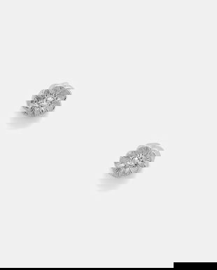 Coach cercei 37546482RHO030