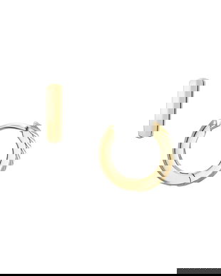 Fossil cercei JF04912710