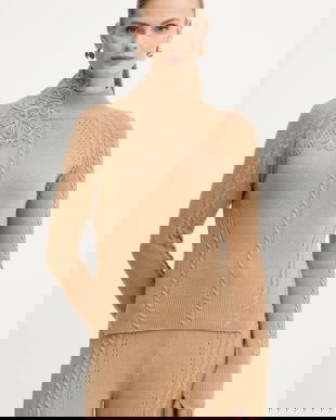 Ermanno Scervino LIFE pulover din amestec de lână culoarea maro, light, cu turtleneck, D474M503APNJG