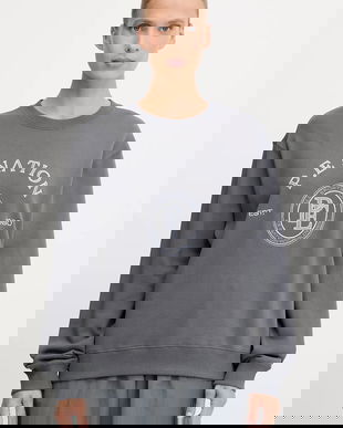 P.E Nation hanorac de bumbac Voyage culoarea gri, cu imprimeu, 253F133