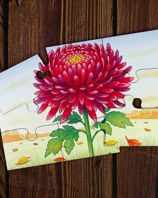 Puzzle educativ Crizantema, 9 piese