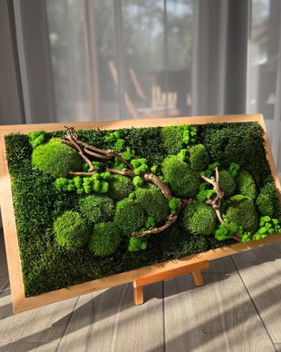 Tablou pereți verzi 80×40 cm din licheni stabilizați premium
