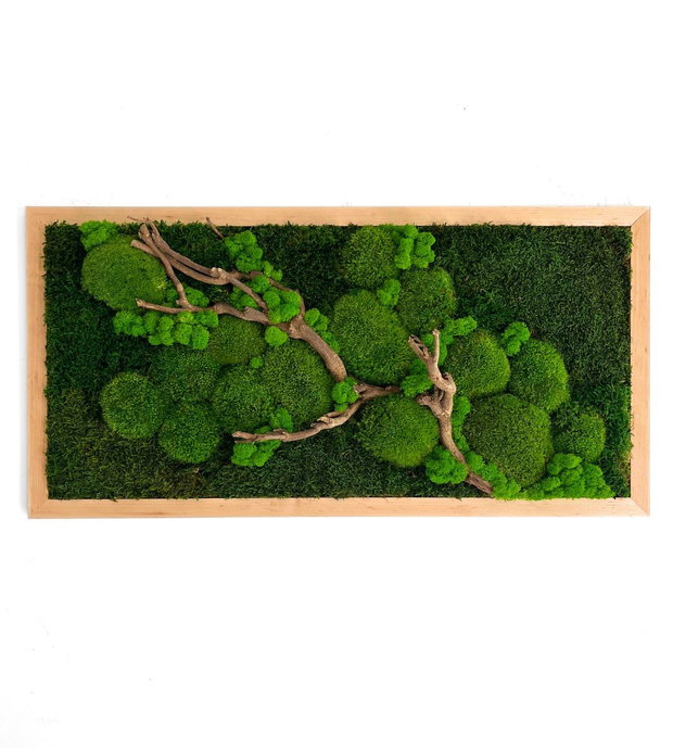 Tablou pereți verzi 80×40 cm din licheni stabilizați premium