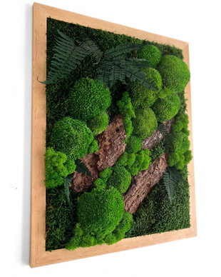 Tablou pereți verzi 50×40 cm din licheni stabilizați premium