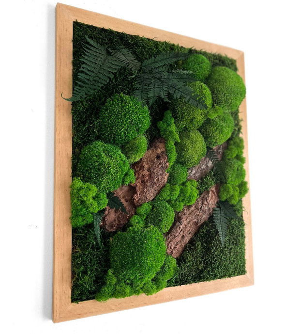 Tablou pereți verzi 50×40 cm din licheni stabilizați premium